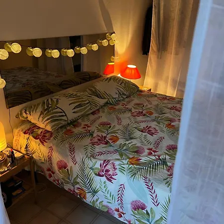 Vakantiehuis Alcova Toscana Albinia